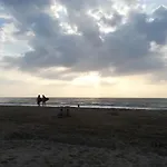Rex Surf House *