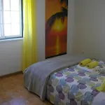 Rex Surf House Prázdninový dům Areia Branca