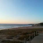 Rex Surf House *