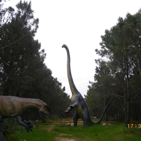 Rex Surf House Feriehus